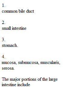 Module 8 Quiz